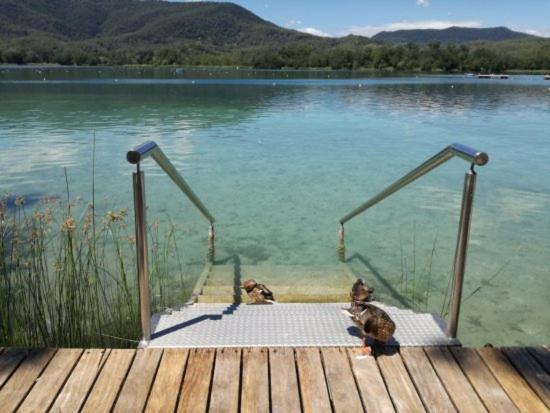 Camping Bungalow El Llac De Banyoles Porqueres Екстер'єр фото