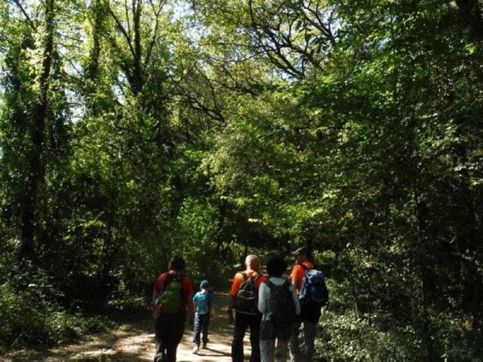 Camping Bungalow El Llac De Banyoles Porqueres Екстер'єр фото