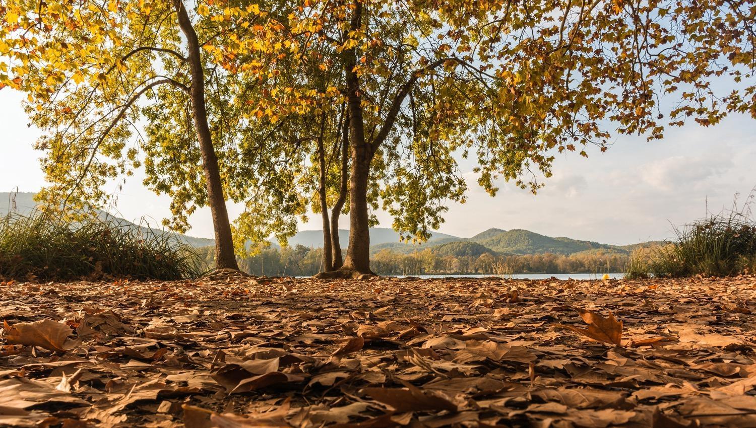 Camping Bungalow El Llac De Banyoles Porqueres Екстер'єр фото